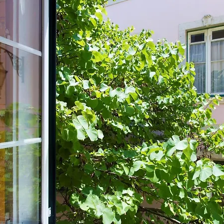 Гостьовий будинок Lost :: Chiado House 3*